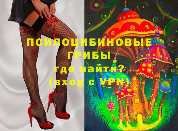 крисы Куйбышев