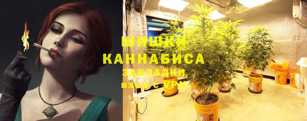 крисы Куйбышев