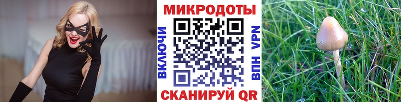 Псилоцибиновые грибы Psilocybe  наркотики  blacksprut как войти  Муравленко 