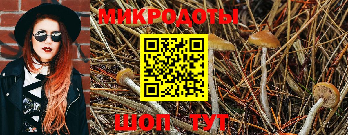 Галлюциногенные грибы прущие грибы Муравленко