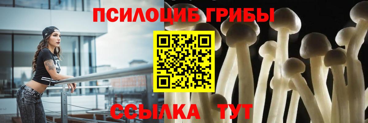 Псилоцибиновые грибы Magic Shrooms  Вход с VPN  Муравленко 