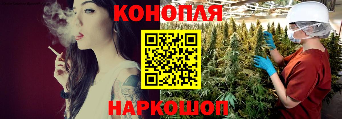 Канабис тримм  Конопля VHQ  Конопля план  Вход с VPN  Муравленко  Бошки марихуана сатива 